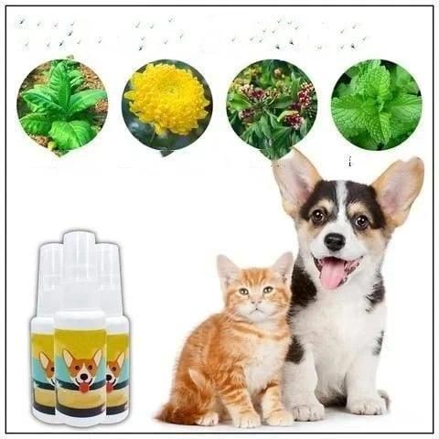 Pet Potty Training Spray (Buy 1 Get 1 Free)