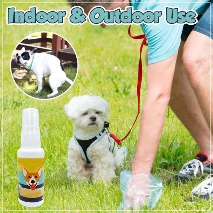 Pet Potty Training Spray (Buy 1 Get 1 Free)